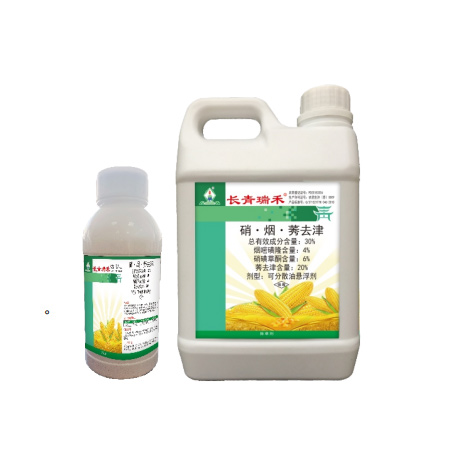 長(zhǎng)青瑞禾?