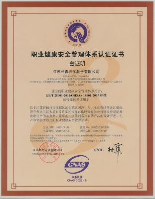 職業(yè)健康安全管理體系認(rèn)證證書(shū)
